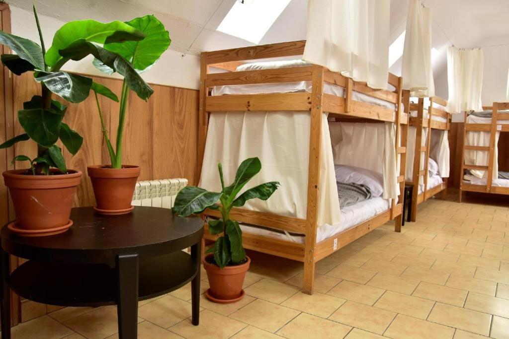 Mimosa Rooms Posen Exterior foto